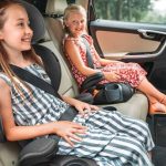 Kurgo Heather Booster Seat Evaluating the Best Travel Safety for Small Dogs