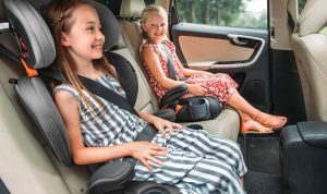 Kurgo Heather Booster Seat Evaluating the Best Travel Safety for Small Dogs