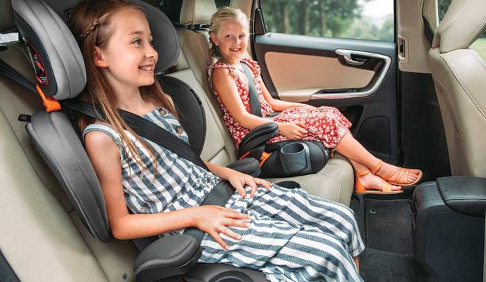 Kurgo Heather Booster Seat Evaluating the Best Travel Safety for Small Dogs