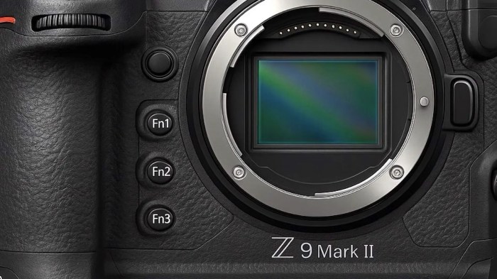 Nikon Z9 Mirrorless Testing the Flagship Speed and Subject Tracking Efficiency
