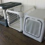 Diggs Revol Dog Crate Reviewing the Best Modern Foldable Travel Kennel