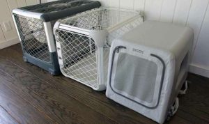 Diggs Revol Dog Crate Reviewing the Best Modern Foldable Travel Kennel