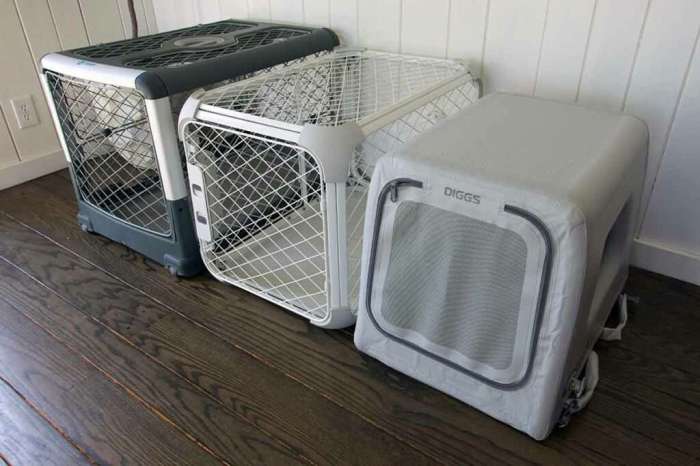 Diggs Revol Dog Crate Reviewing the Best Modern Foldable Travel Kennel