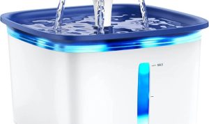 Veken Pet Fountain 2.5L Reviewing the Best Budget-Friendly Filtered Water Kit