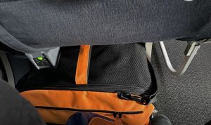 Sleepypod Air Cabin Carrier Evaluating the Best Crash-Tested Travel Safety Bag