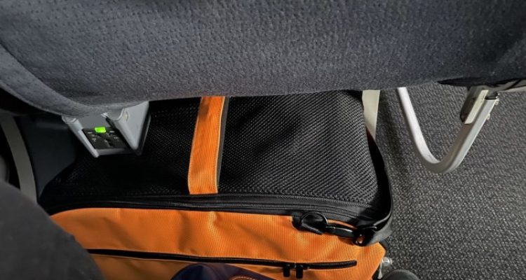 Sleepypod Air Cabin Carrier Evaluating the Best Crash-Tested Travel Safety Bag