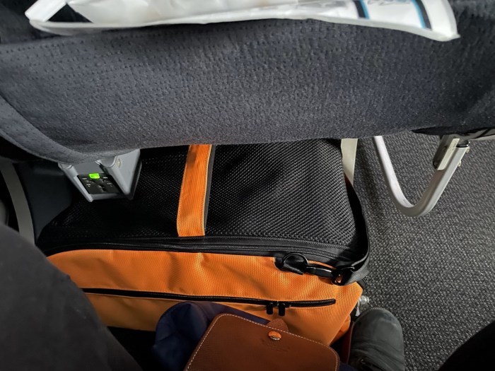 Sleepypod Air Cabin Carrier Evaluating the Best Crash-Tested Travel Safety Bag