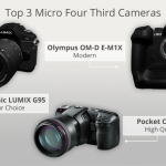 OM System OM-1 Mark II Testing the Best Micro Four Thirds Camera for Wildlife