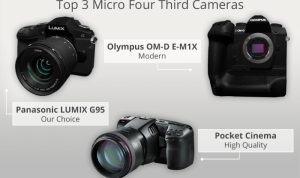 OM System OM-1 Mark II Testing the Best Micro Four Thirds Camera for Wildlife