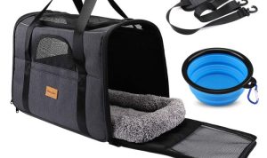 Sherpa Original Deluxe Carrier Testing the Best Airline-Approved Pet Travel Bag