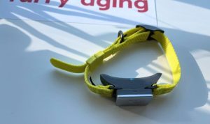 Whistle Switch Smart Tracker Evaluating the Best Health + GPS Monitoring System