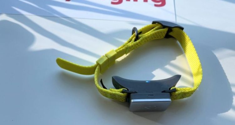 Whistle Switch Smart Tracker Evaluating the Best Health + GPS Monitoring System