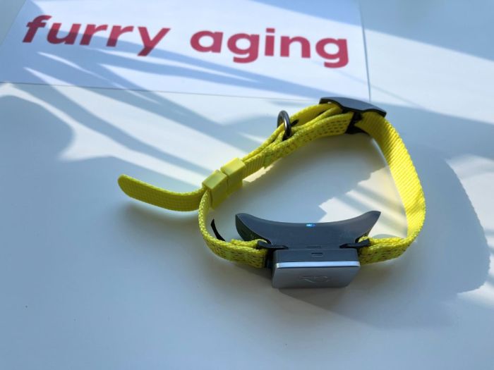 Whistle Switch Smart Tracker Evaluating the Best Health + GPS Monitoring System