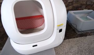 Petkit Pura Max Testing the Odor-Control Performance of the Smart Litter Box