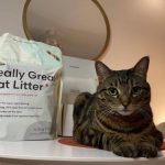 Tuft + Paw Stella Bed Reviewing the Best Aesthetic Modern Cat Seating