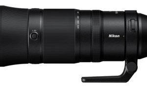 Nikon Z 600mm f/6.3 VR S Testing the Lightweight Super-Telephoto Lens Performance