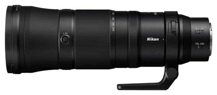 Nikon Z 600mm f/6.3 VR S Testing the Lightweight Super-Telephoto Lens Performance