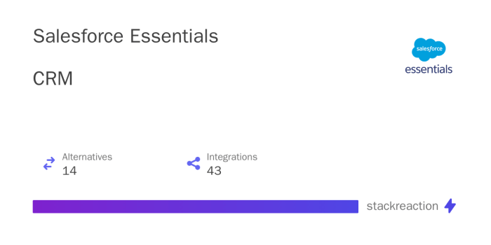 Salesforce Essentials Testing the Best CRM Solution for Growth-Stage Companies