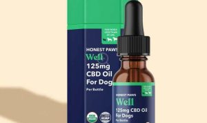 Honest Paws CBD Oil Reviewing the Best Hemp Extract for Dog Anxiety Support