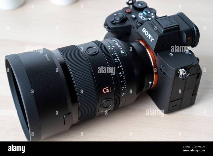 Sony Alpha a7 IV Evaluating the Best Hybrid Camera for Semi-Pros in 2026