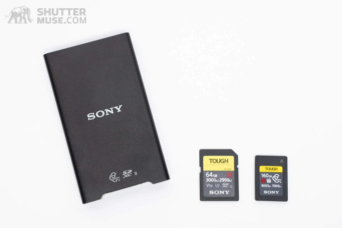Sony CEA-G160T CFexpress Type A Testing the Essential Card for Alpha Cameras